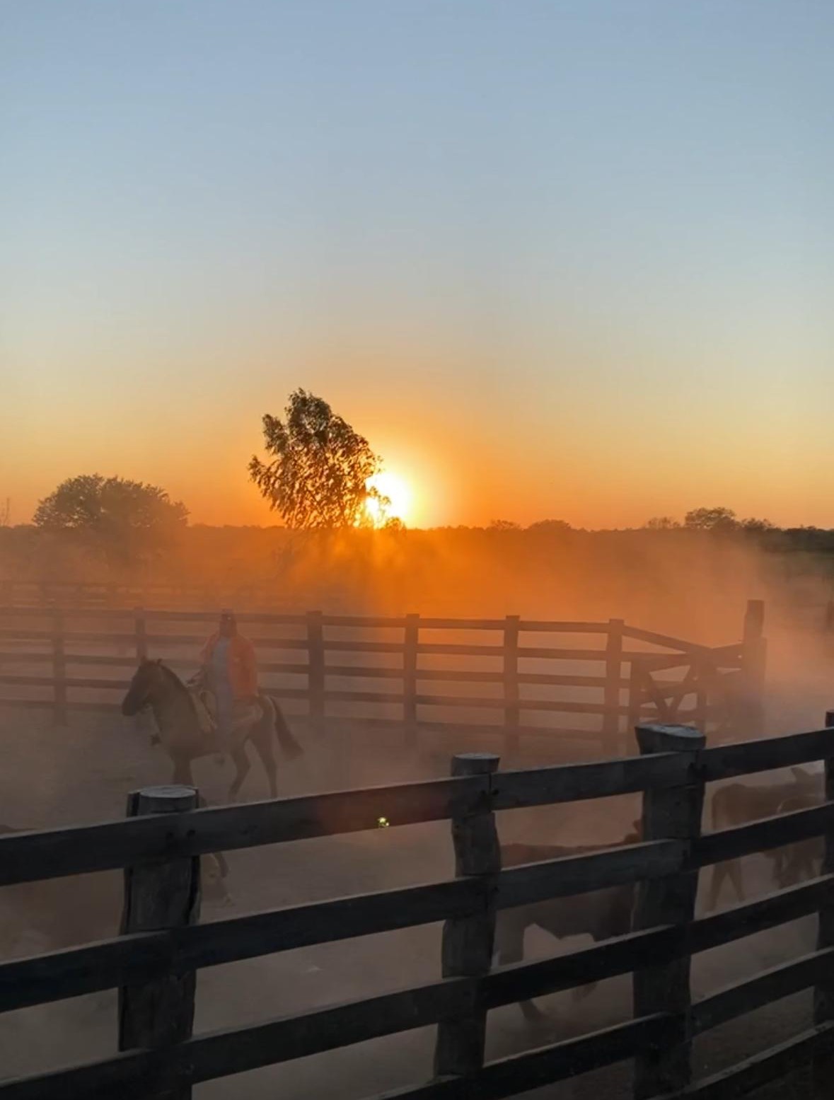 Tecnología Aplicada